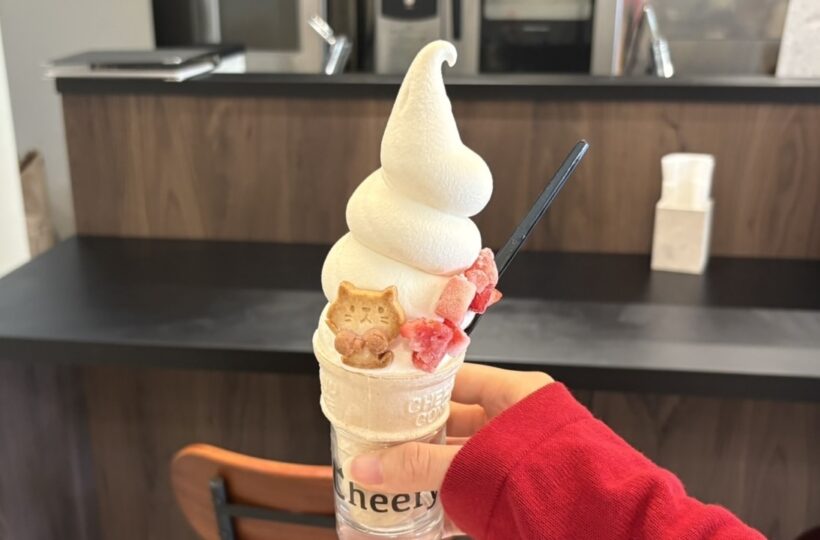 水前寺|カロリーを気にせずに楽しめる!ヘルシーで体に優しいグルテンフリーカフェ