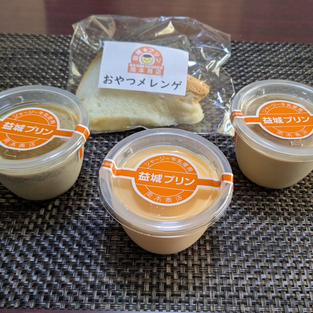 益城町｜何個でも食べたくなる美味しさ！長年地域に愛されるとろとろプリン