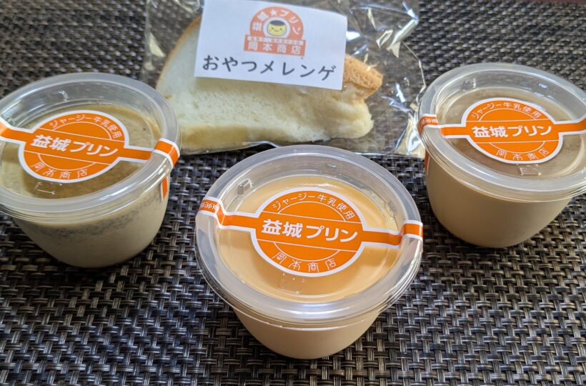 益城町｜何個でも食べたくなる美味しさ！長年地域に愛されるとろとろプリン