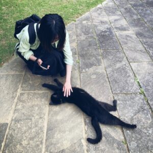 さびねこかのこ