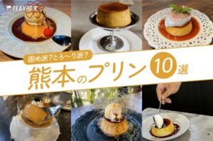 まとめ｜固めもとろ～りも！心ときめくプリンに出会える、熊本のプリン10選
