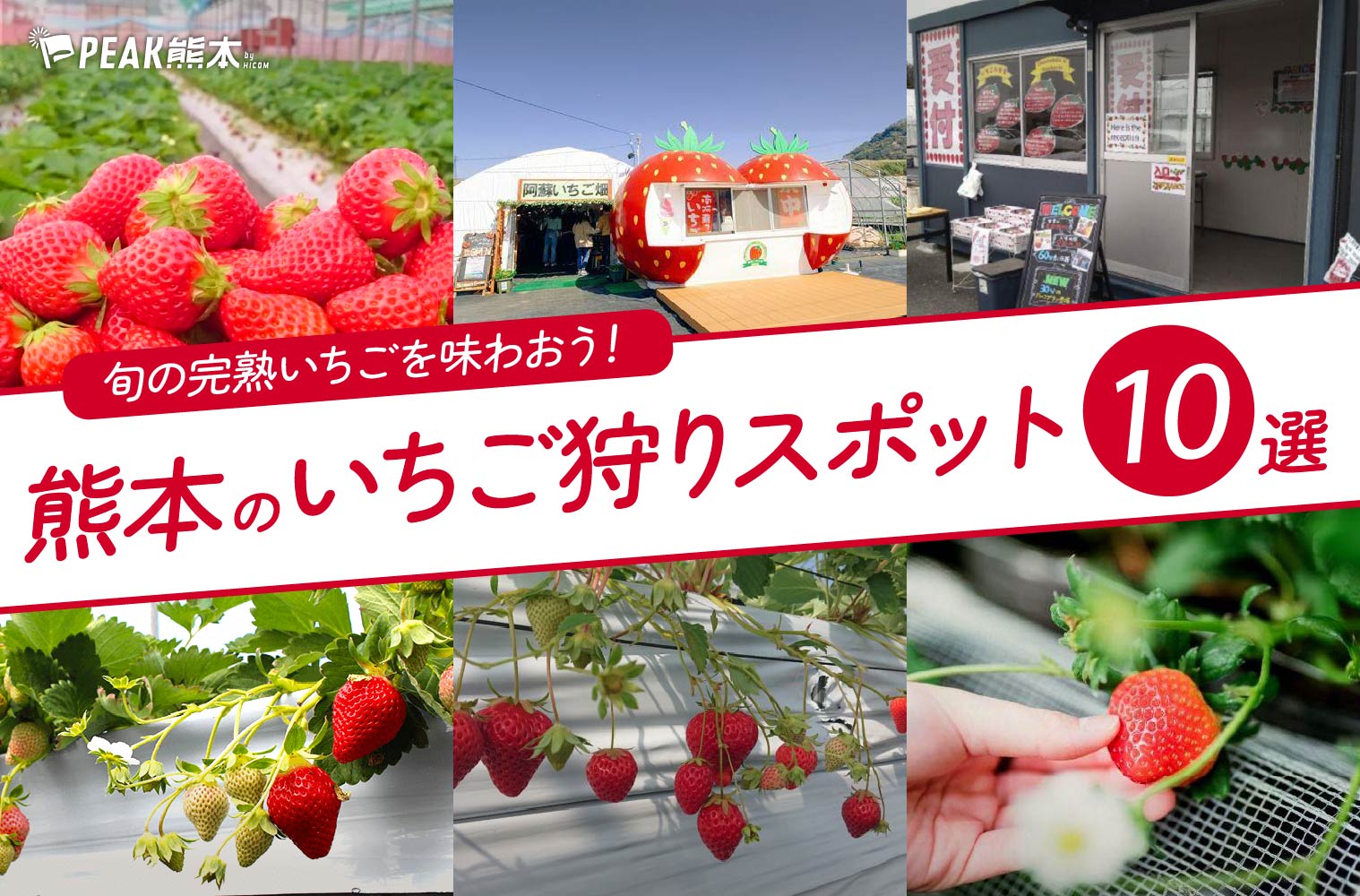 まとめ｜熊本の2026年いちご狩りスポット10選！旬の完熟いちごを味わおう