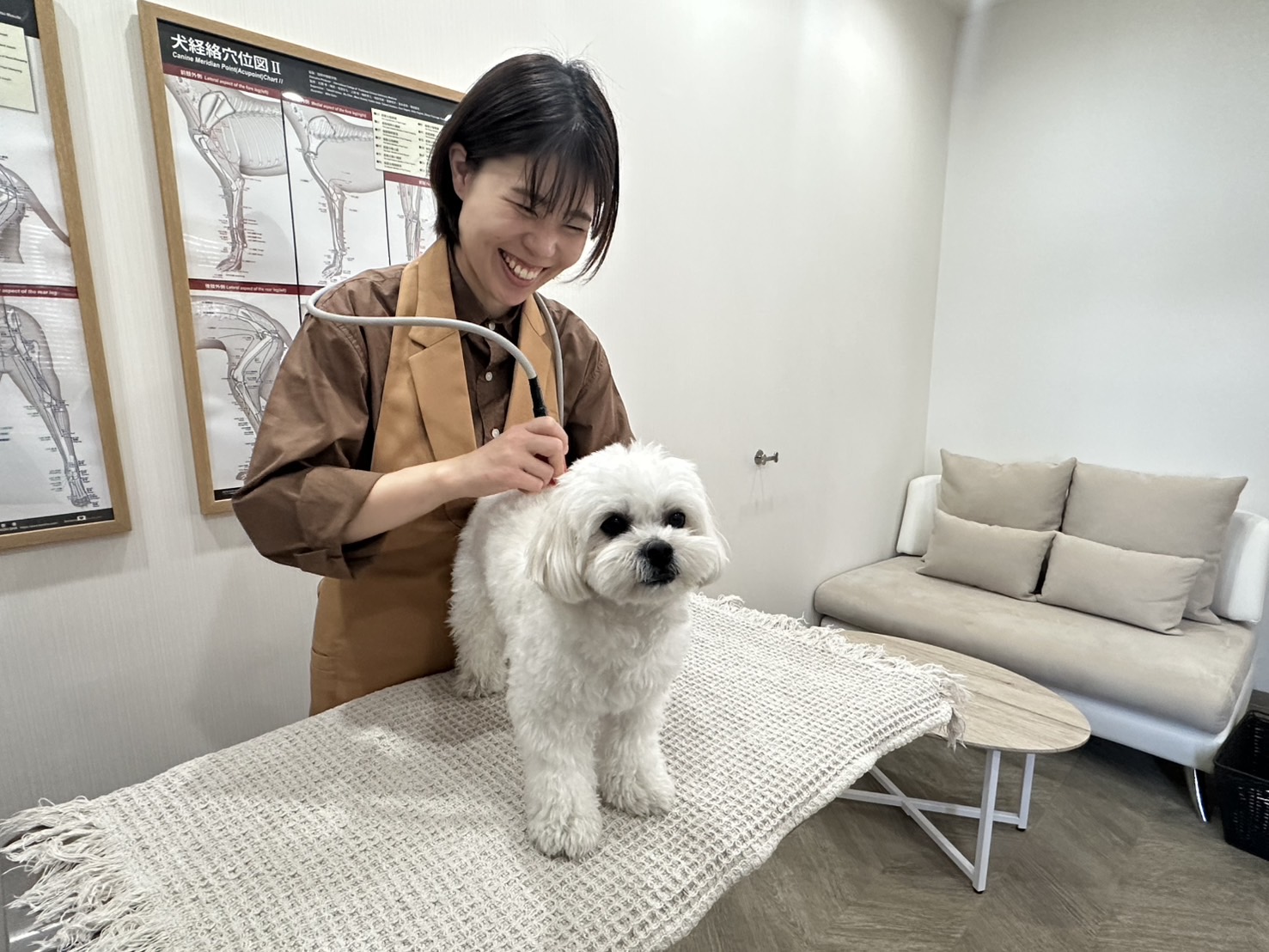 出水｜愛犬をもっと笑顔に！ありそうでなかった、獣医さんがいるドックカフェ