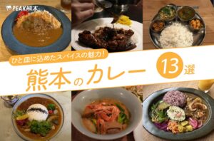 まとめ｜ひと皿に込めたスパイスの魅力に夢中！熊本のカレー13選