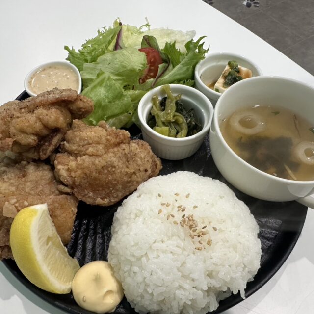 並木坂｜ボリューム満点で大満足。熊本で数少ない、ぺット同伴可カフェ！