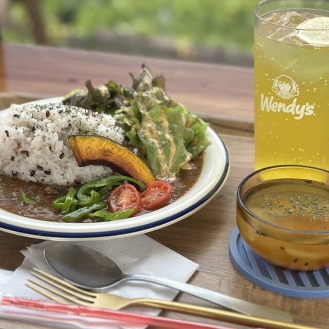 人吉｜アメリカンなトレーラーで味わう、豆乳スパイスカレーと絶景